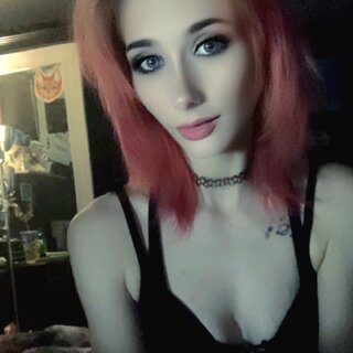 Kitten: , , 